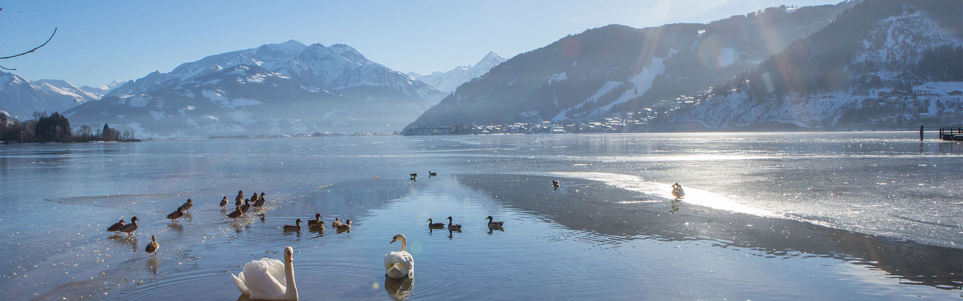 Ferienbauernhof Zellamsee Slider 06